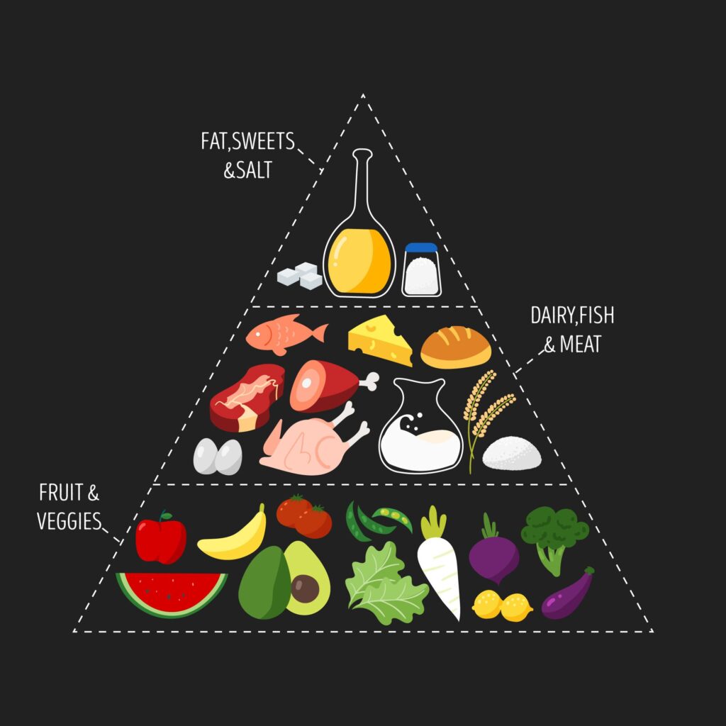 food pyramid 2023